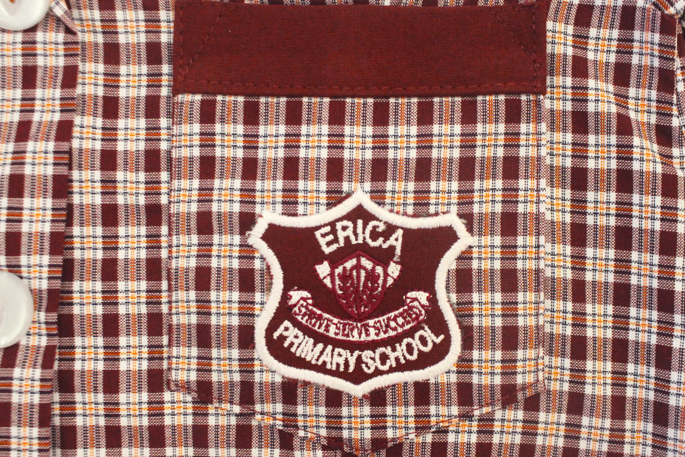 Check Dress Emb - Erica - Image 3