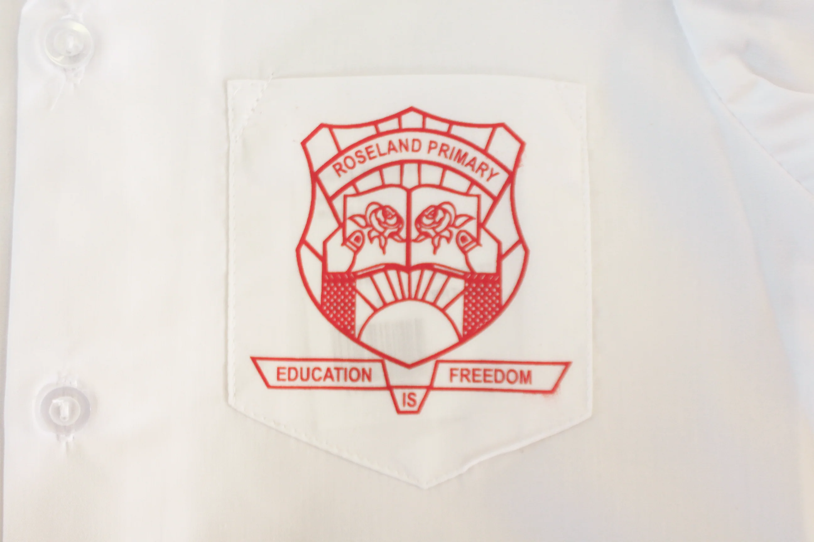 Shortsleeve Printed Shirt - Roseland - Image 2