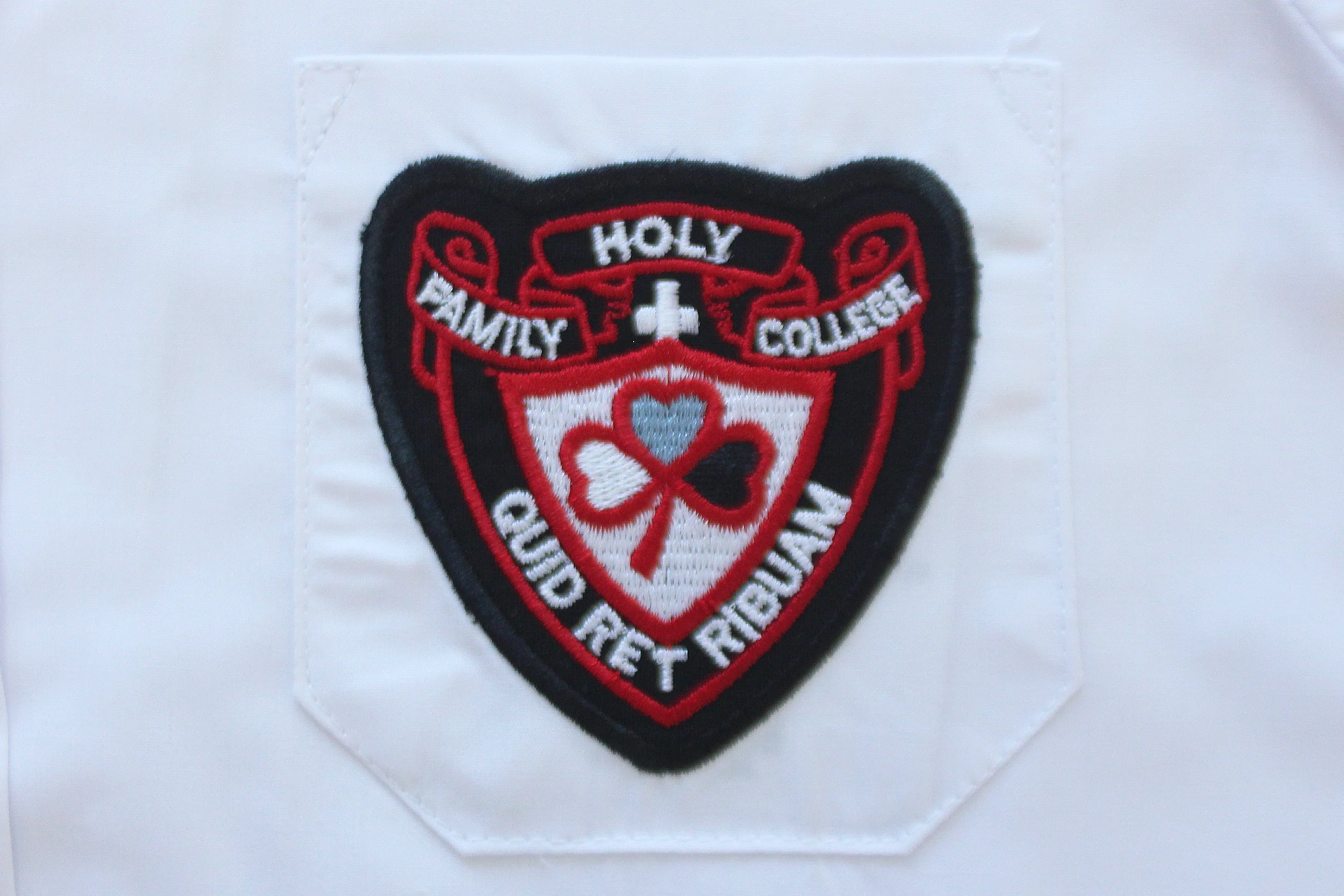 Shortsleeve Roundneck Blouse Emb - Holy Family College - Image 2